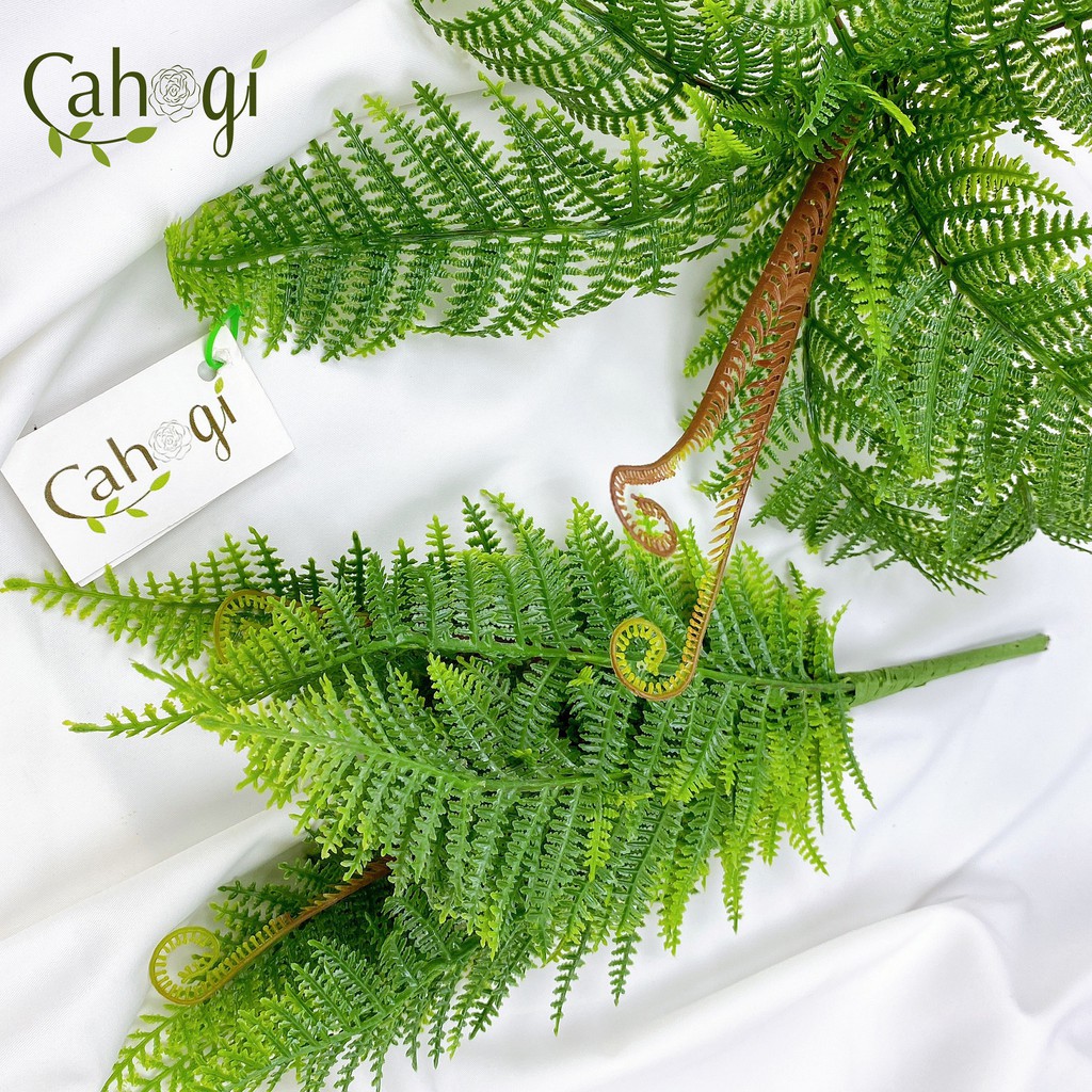 Cây dương xỉ giả giống thật 99% – Đường kính 45 cm – Cây vạn tuế giả, hoa lụa decor trang trí rẻ, bền, đẹp