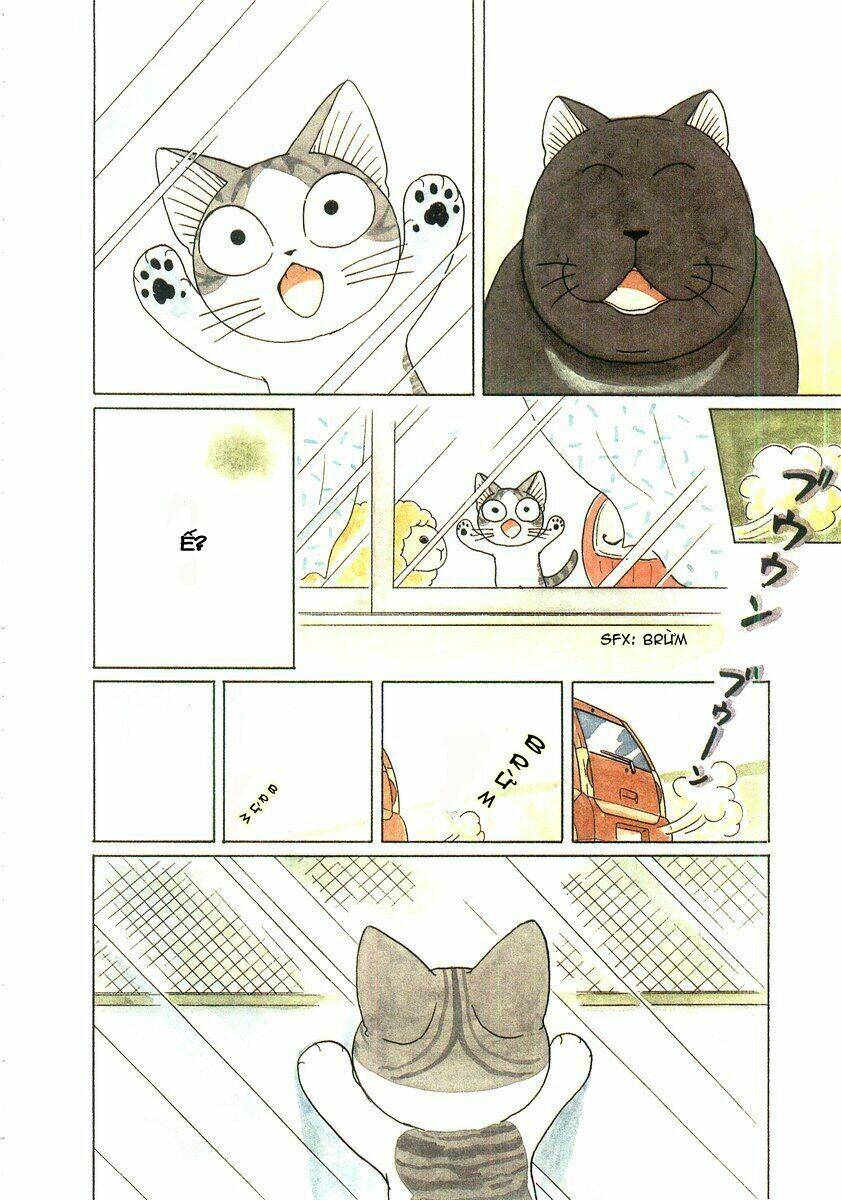 chi's sweet home chapter 53 7