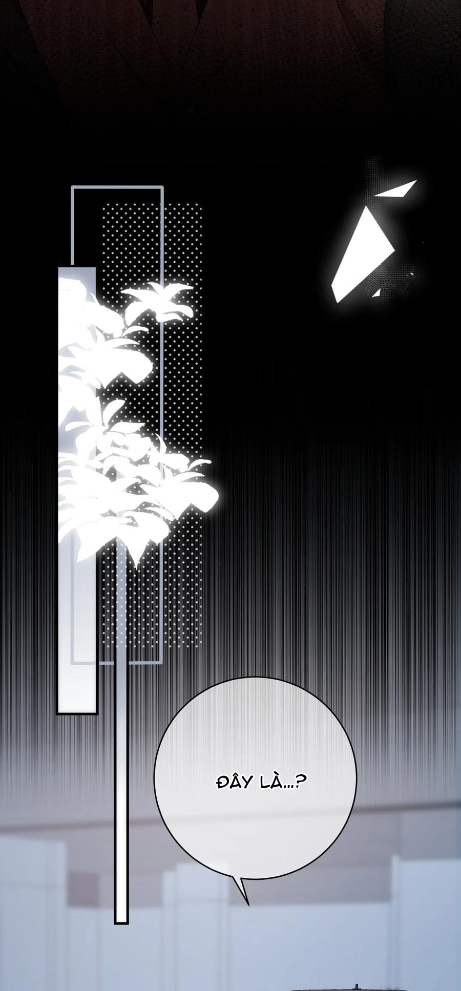 trước và sau ly hôn! chapter 58 23