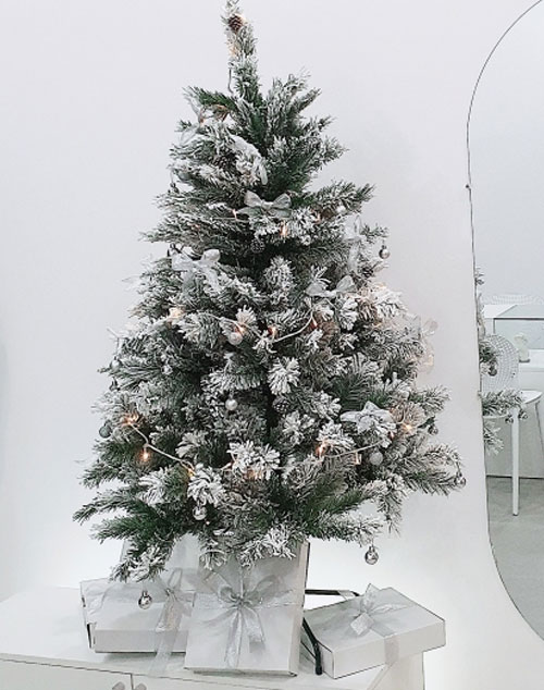Cây thông noel phủ tuyết cao 1m8 - Cây loại 3 lá dày tán rộng