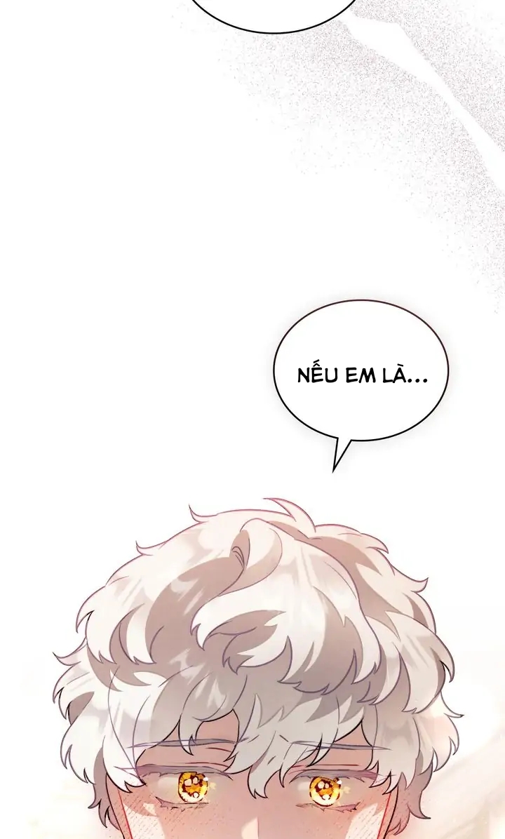 ánh sáng của bình minh chapter 54 62