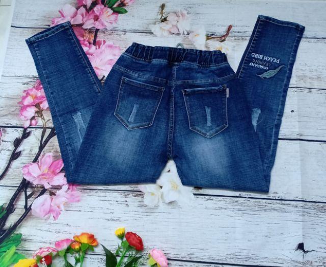 quần jeans lưng thun co giãn tạo dáng ôm body