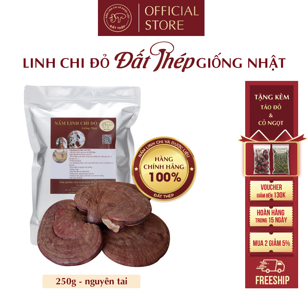 Trà Nấm Linh Chi Đỏ Đất Thép Giống Nhật 250g (2 loại: cắt lát hoặc nguyên tai) - Giải độc gan - Ổn định đường huyết