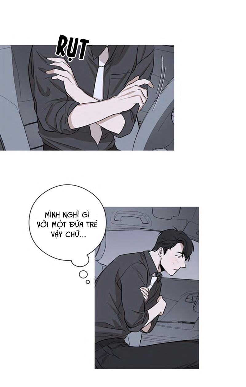 the wing chapter 4 40