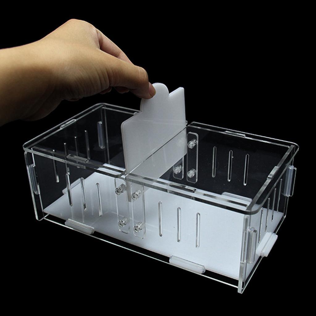 1x Reptile Cage Food Feeding Container For Spider Frog Cricket Turtle