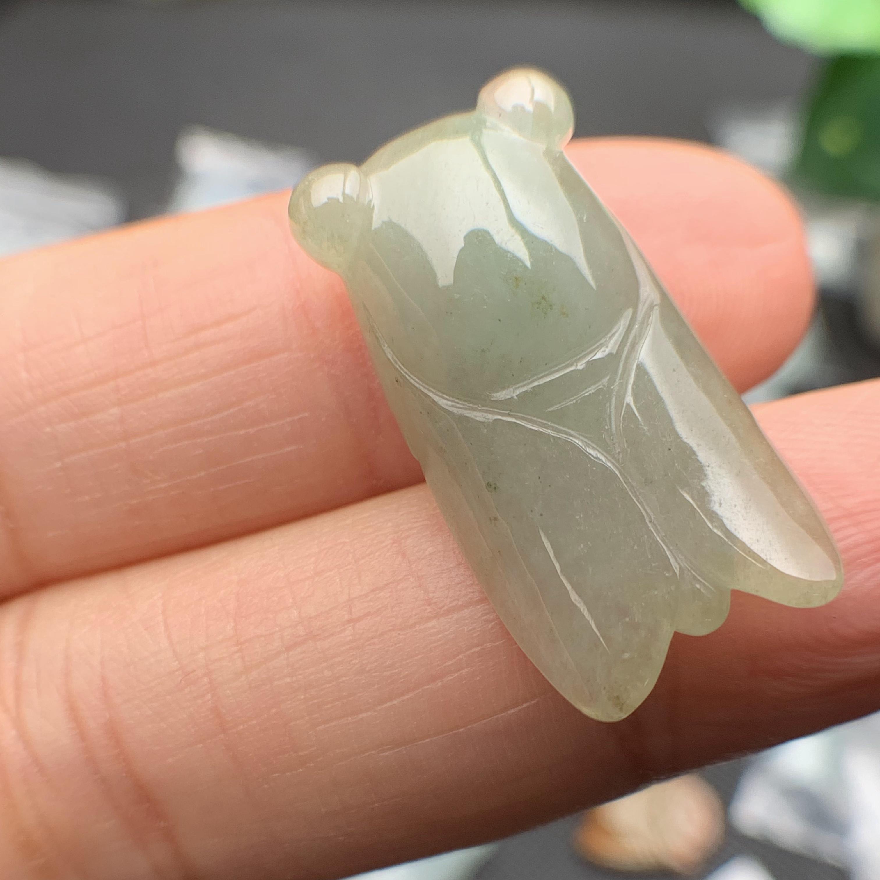 Ve sầu ngọc phỉ thúy tự nhiên Jadeite A