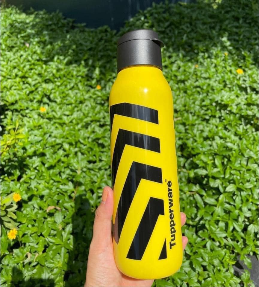 [ Hàng tặng ] Bình Nước Eco Bottle Fancy 750ml x Lazychef