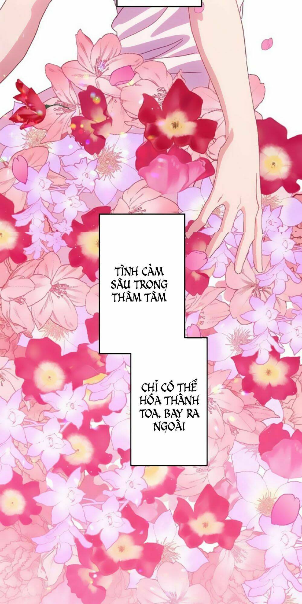 bài hát tình yêu chapter 14 9