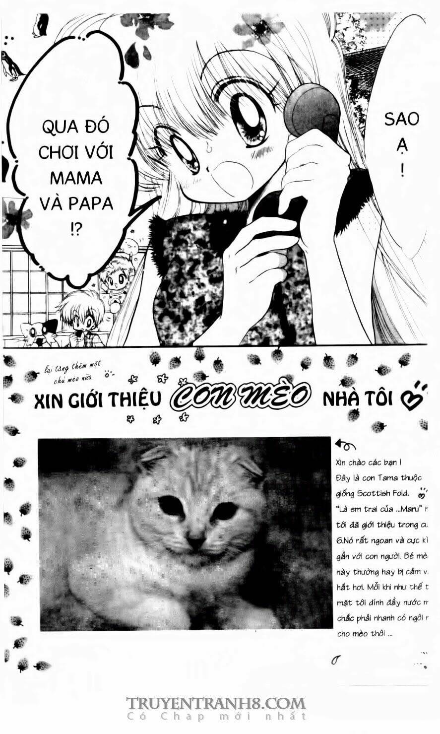 daa! daa! daa! chapter 40 19