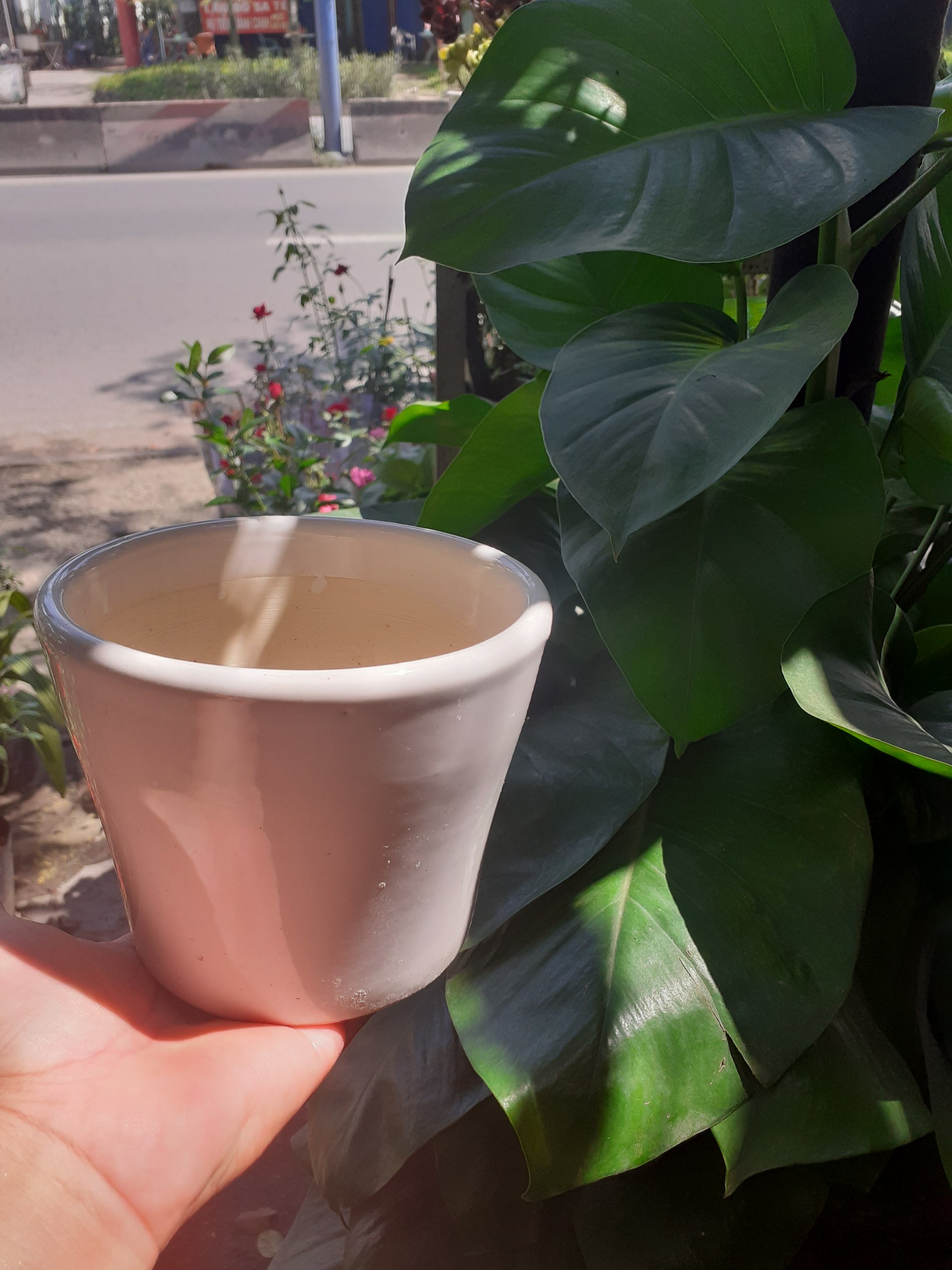 Chậu đất nung TRÁNG MEN MÀU TRẮNG.