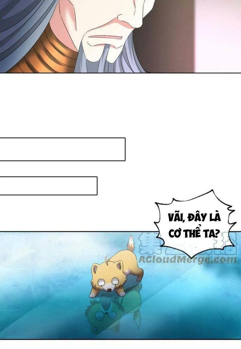 Trọng Sinh Thành Cậu Vàng Tại Dị Thế Chapter 240 16