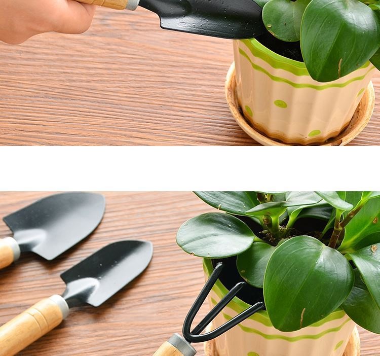 Dụng Cụ Làm Vườn Mini Trồng Hoa, Sen Đá, Xương Rồng - Bộ 3 Món Size Trung và Mini, Cán Gỗ Nhỏ Gọn Cho Gia Đình