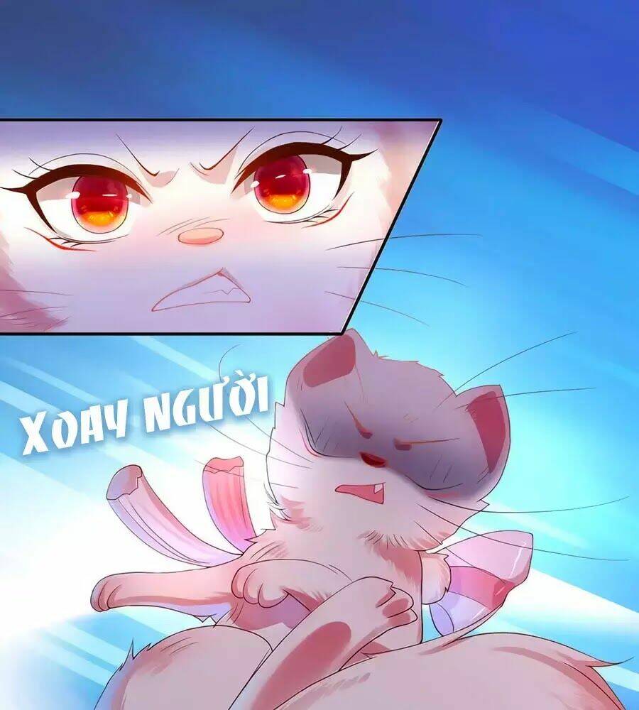 dưỡng thú vi phi chapter 1 94