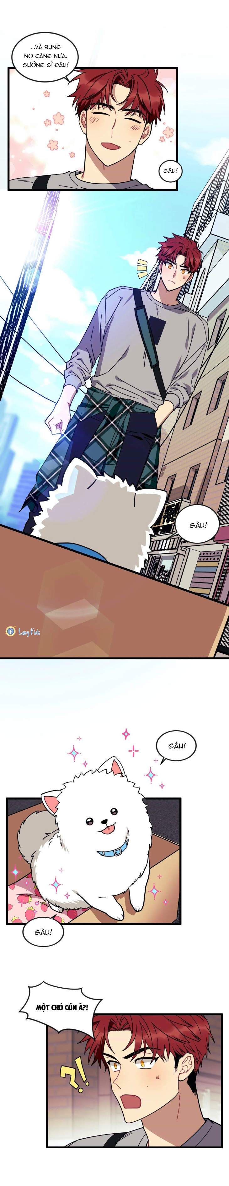 điều ước của cậu là mệnh lệnh của tớ chapter 11 17