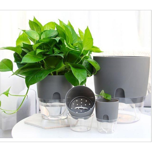 Chậu Trồng Cây Thông Minh Tự Tưới Nước Decor Văn Phòng, Phòng Làm Việc Siêu HOT