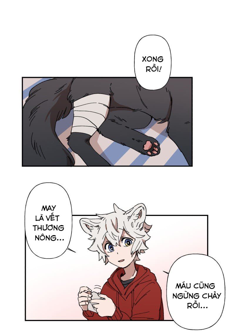 lumine - cội nguồn ánh sáng chapter 88 33