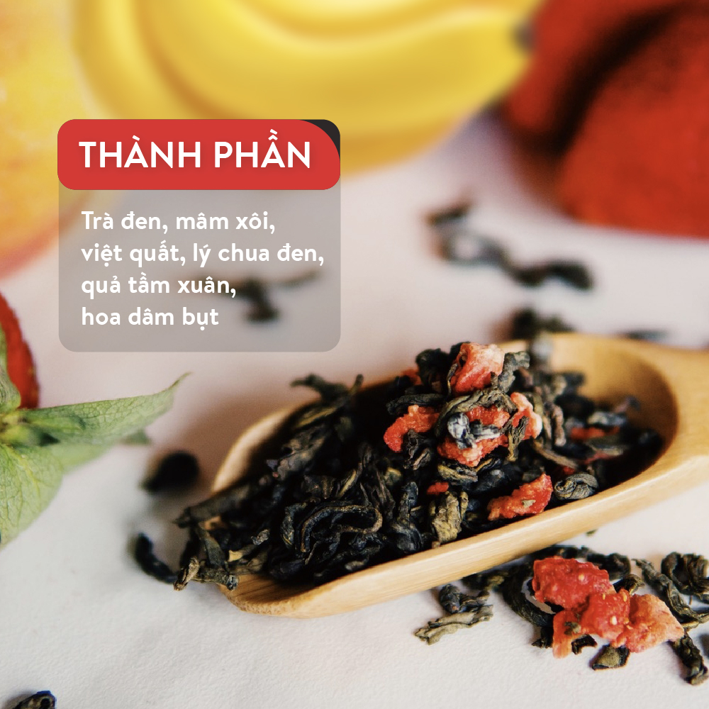 Combo 12 hộp Trà đen Tess Forest Dream vị mâm xôi và việt quất 20 gói/hộp