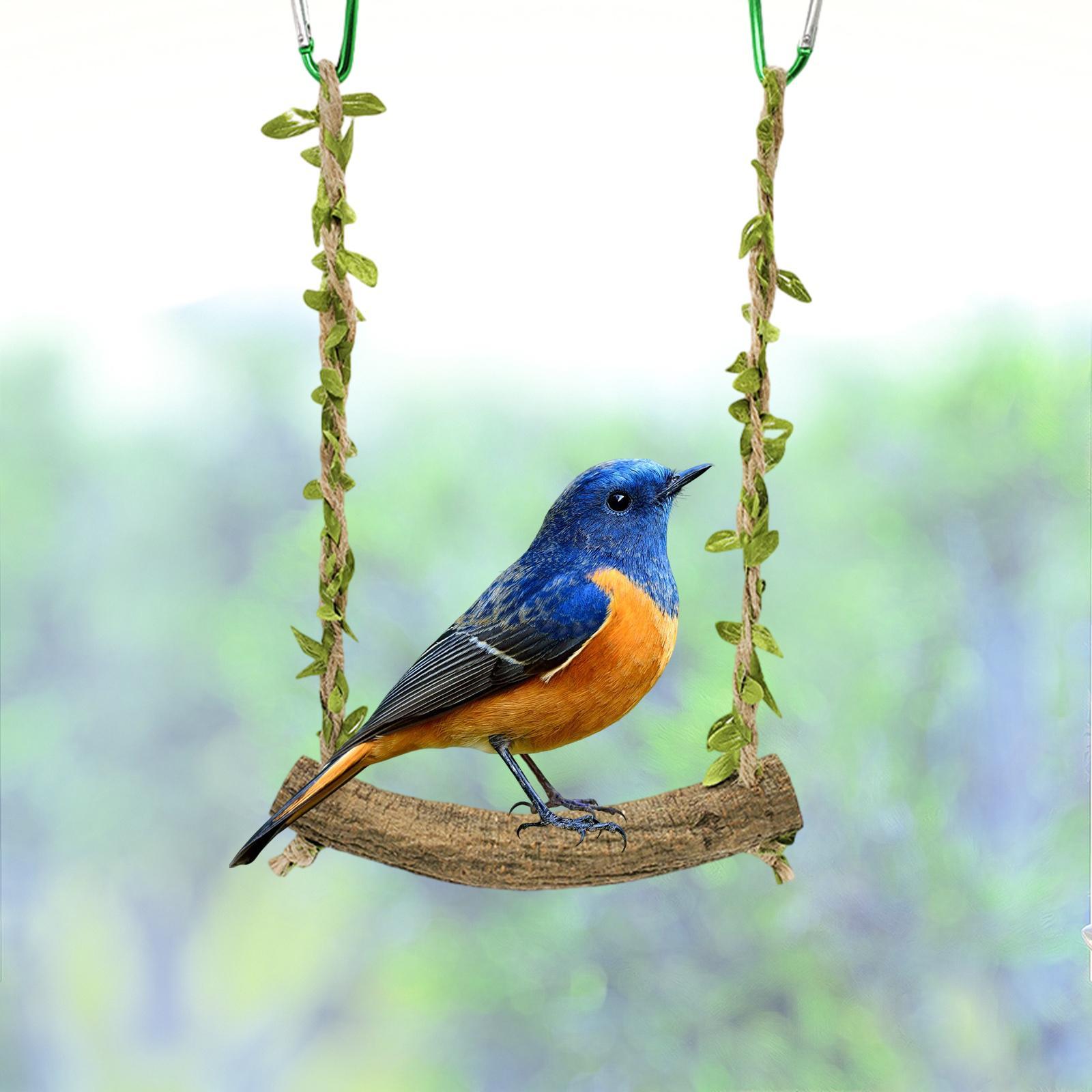 Wooden Birds Parrots Stand, Bird Training Perch Stand, Parakeet Cage Hammock, Chewing Bird Cage Toys for Medium Parrot