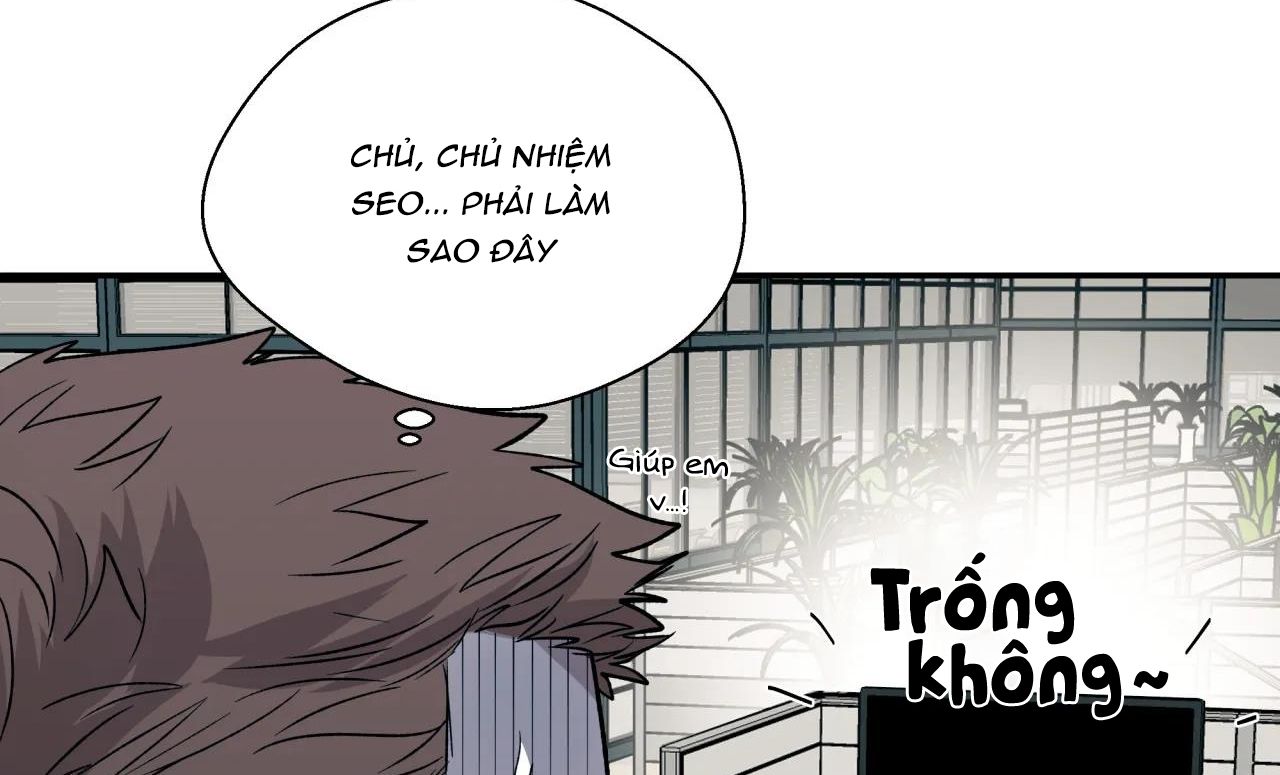 ám ảnh pheromone chapter 26 41