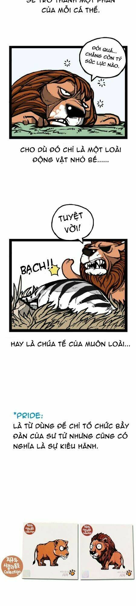 earth, human, and animal chapter 27 24