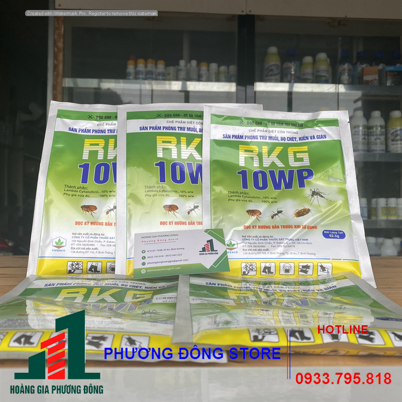 Thuốc diệt muỗi và côn trùng RKG 10 WP - 62.5GR