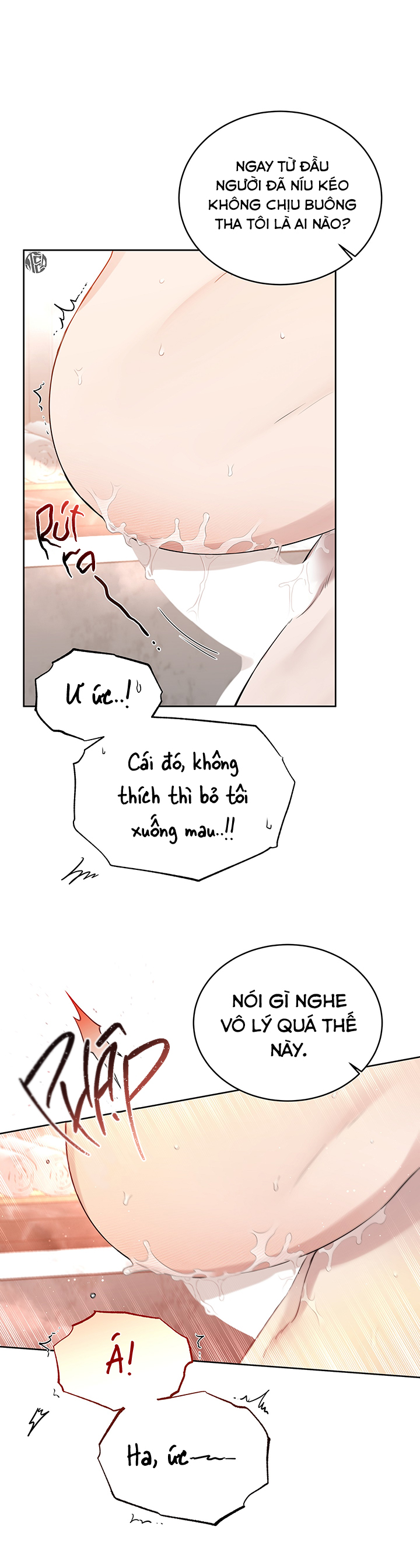 đoá hồng và ly champagne chapter 0.3 26