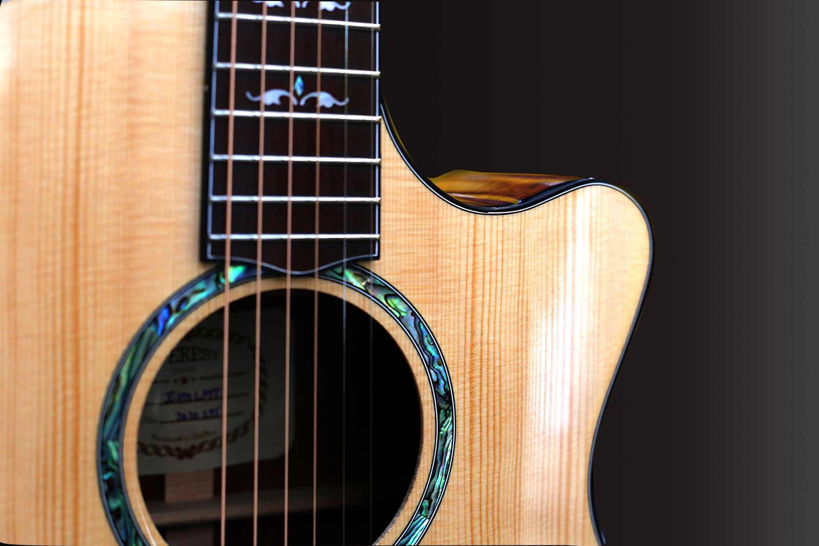Đàn Guitar Acoustic E100LMT Chất Lượng Cao (Full Solid)