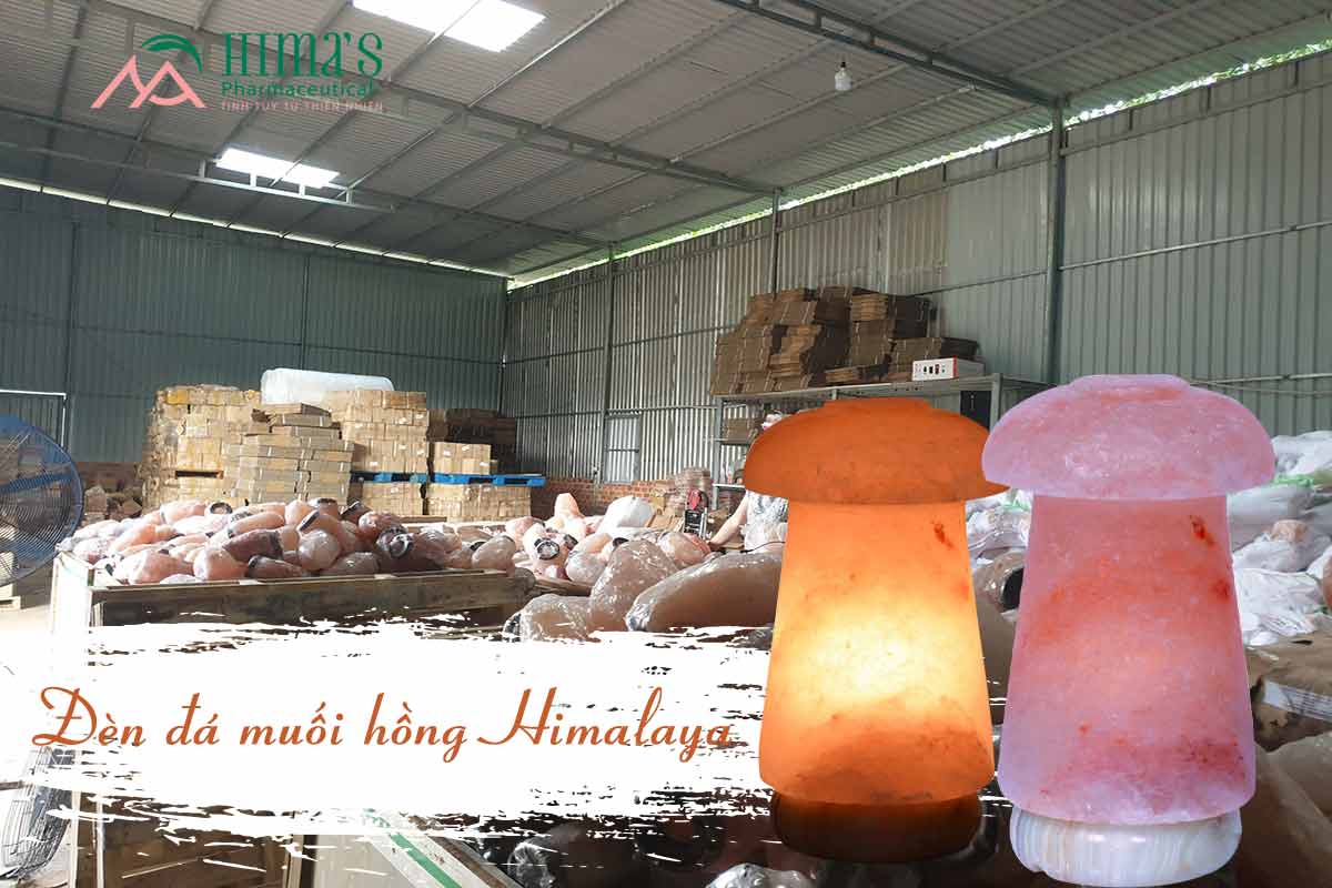 Đèn Đá Muối Hình Nấm Đế Cẩm Thạch
