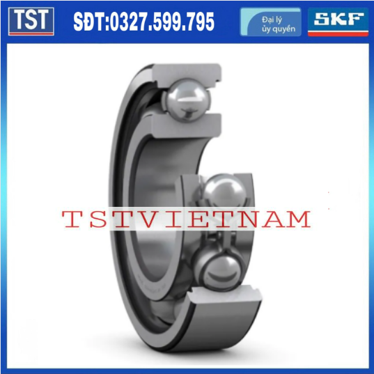 Vòng bi bạc đạn SKF 6006-2RZ