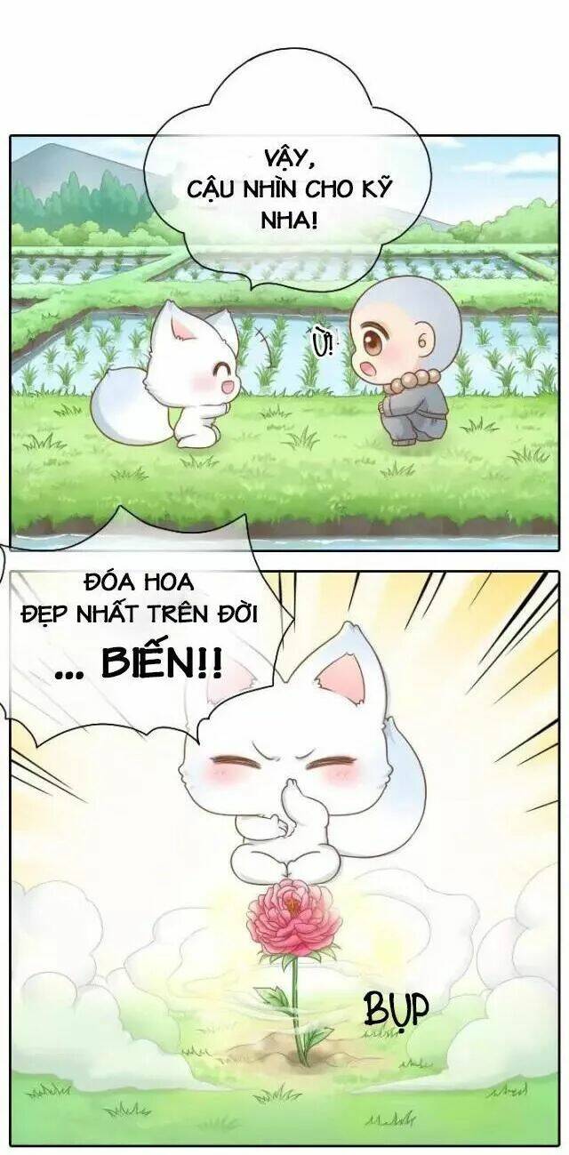 tiểu hồ ly vs tiểu hóa thượng chapter 38 6