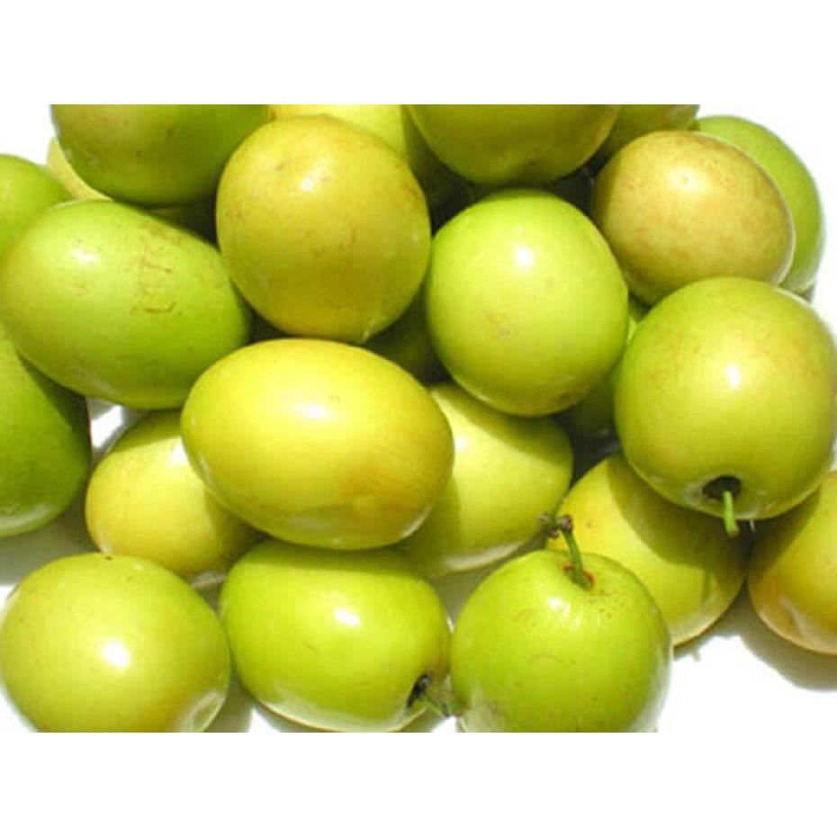 Combo 2 cây giống táo đào vàng siêu quả