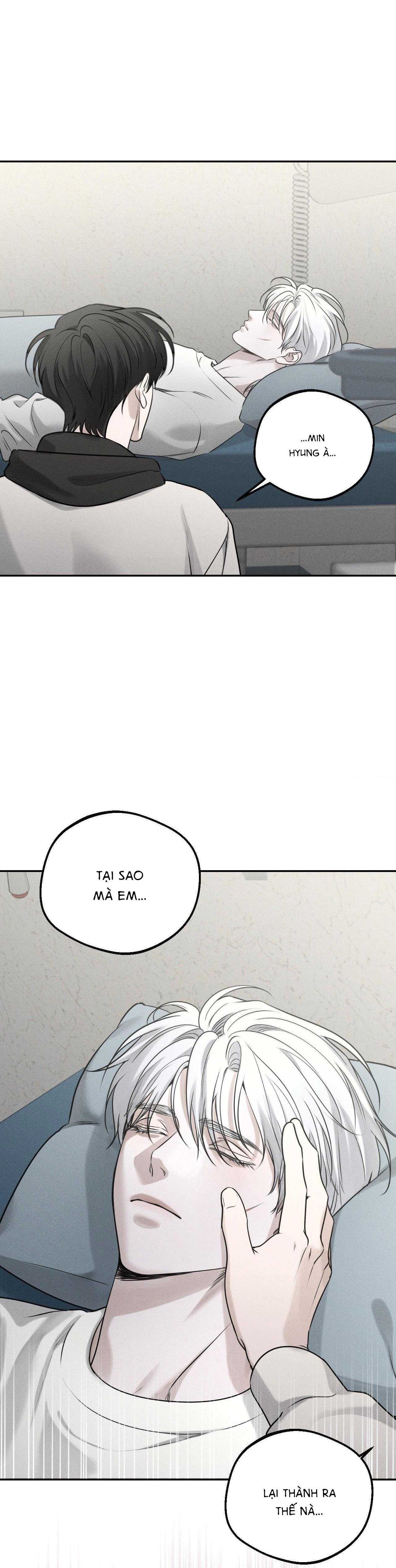 gấu teddy thân yêu chapter 20 19