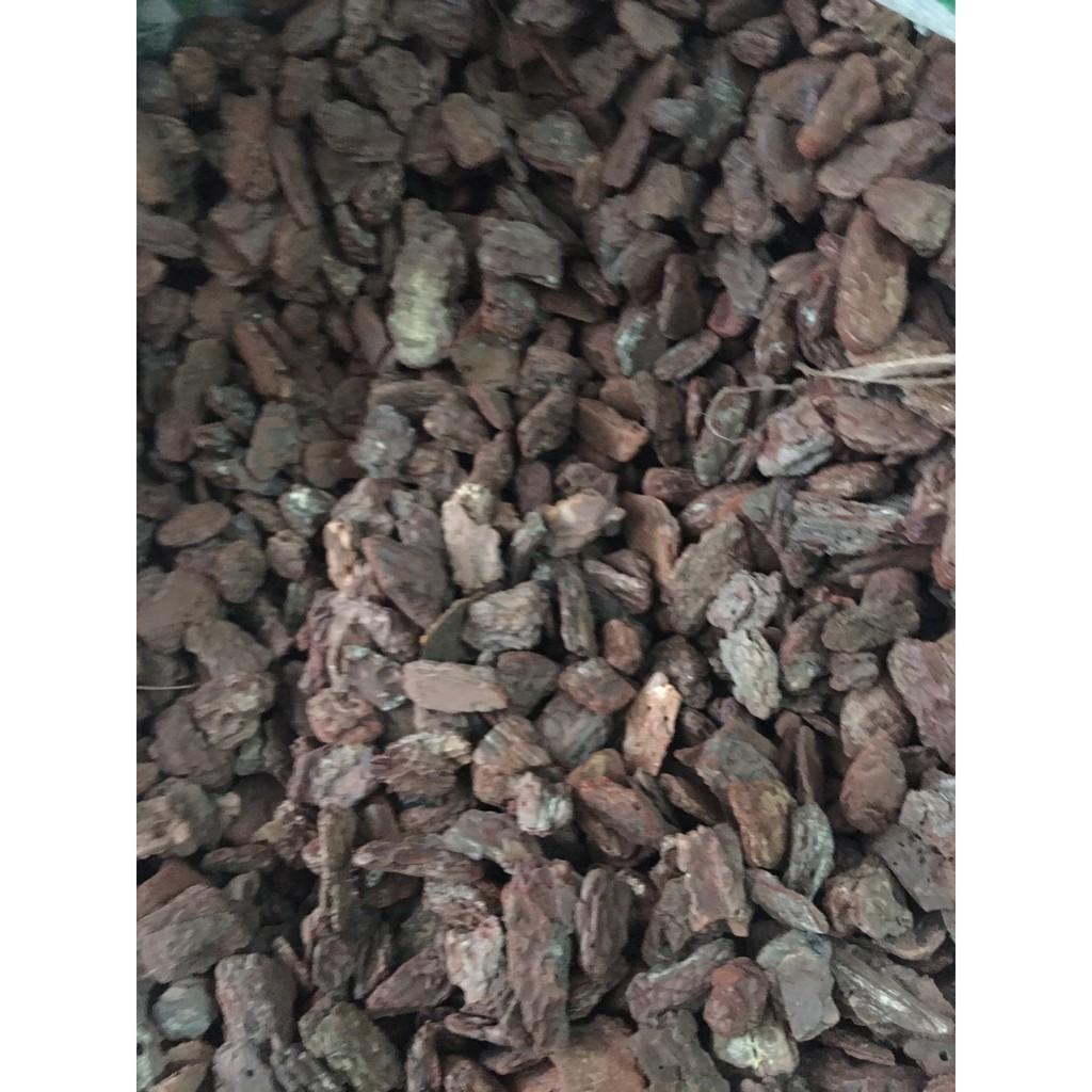 Vỏ thông trồng lan dánh tròn đầu, đã được xử lý