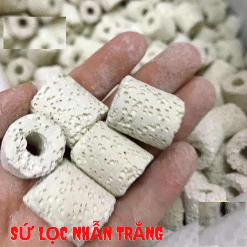 Vật liệu loc sứ lọc nhẫn trắng lọc nước bể cá. Vật Liệu Lọc sứ có khả năng nuôi vi sinh có lợi cho môi trường nước hồ cá