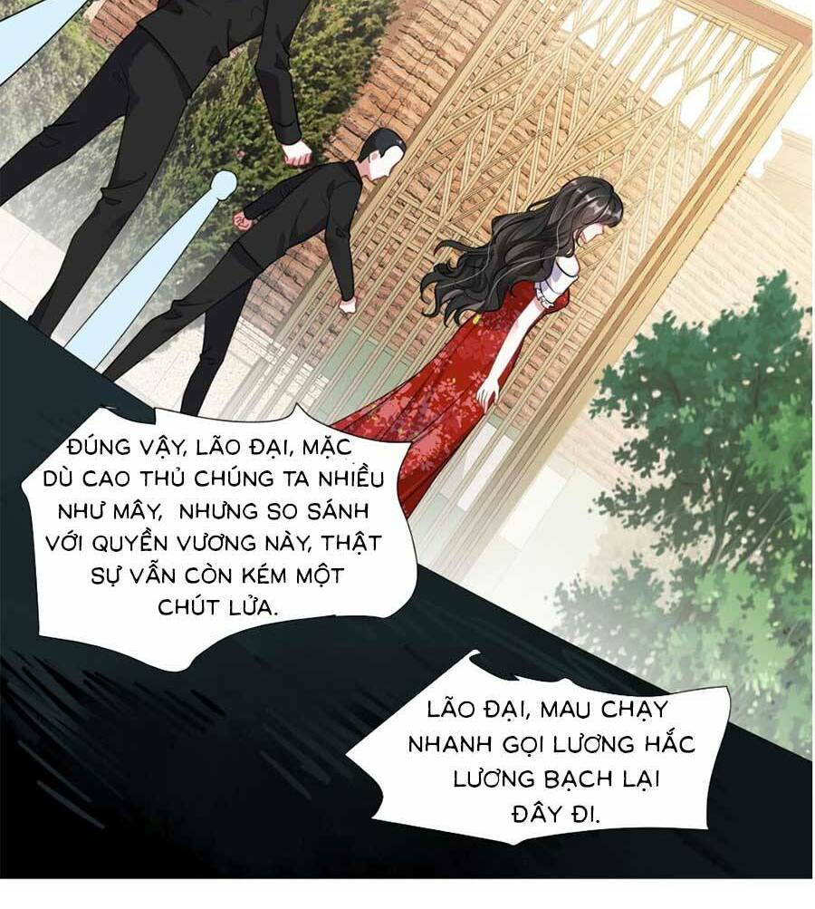 vợ tôi là boss ngầm đầy quyền lực chapter 11 11