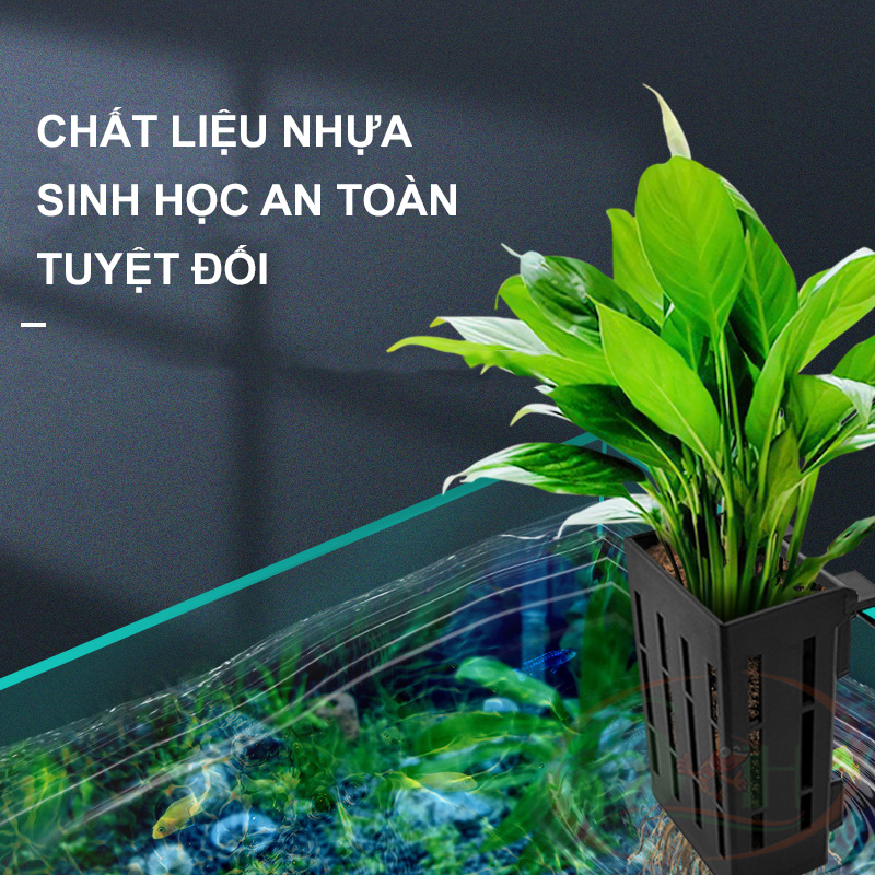 Giỏ nhựa trồng cây thủy canh móc thành hồ trang trí bể cá tép thủy sinh bán cạn