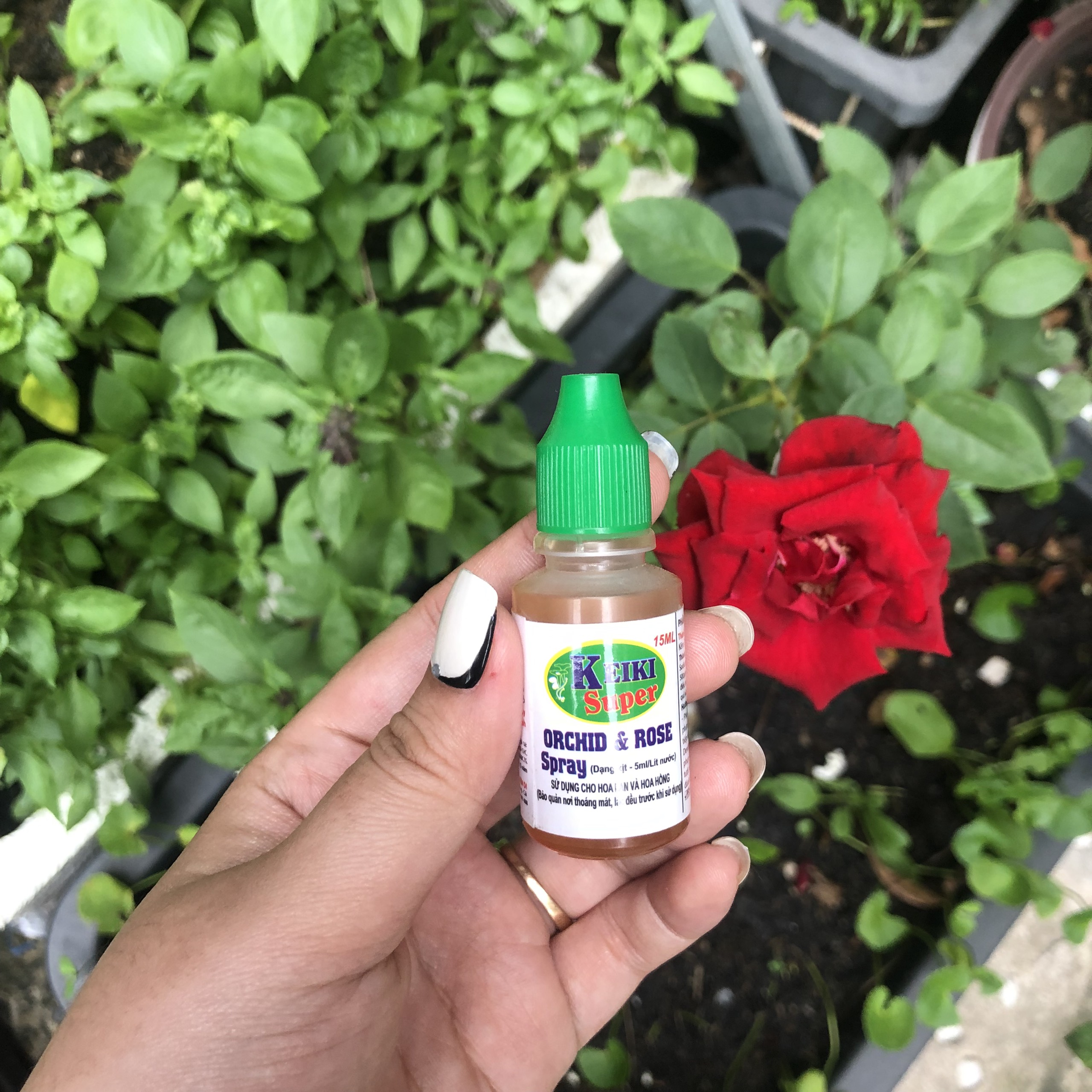 Keiki Super Xanh 15ml – Kích mầm hoa lan