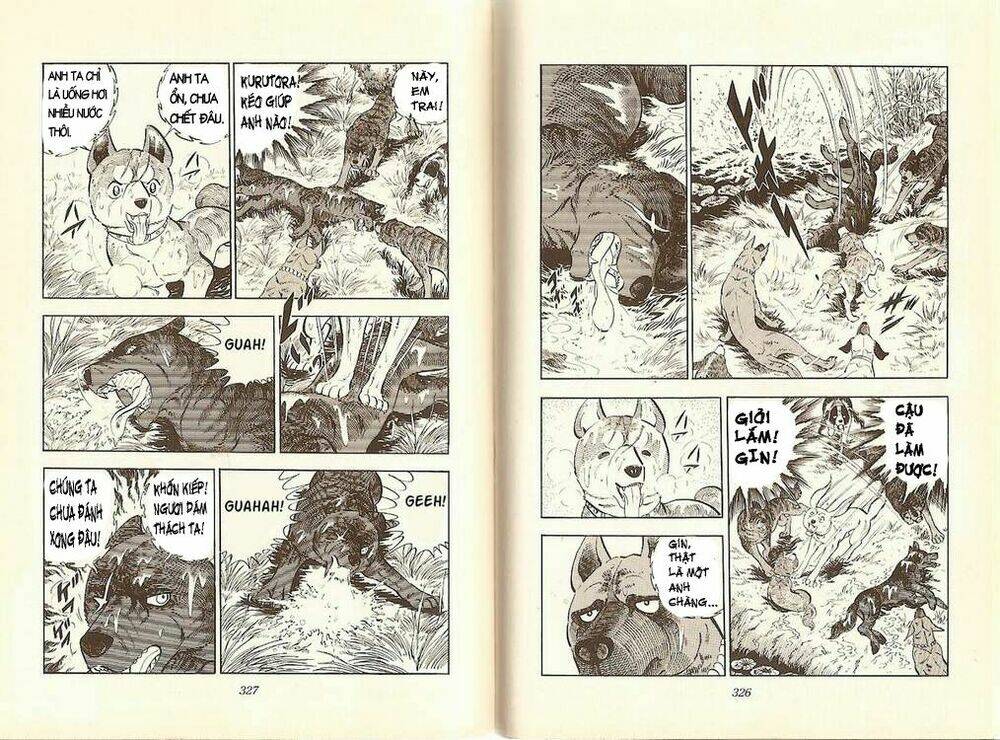chú chó có nghĩa - ginga nagareboshi gin chapter 12 30