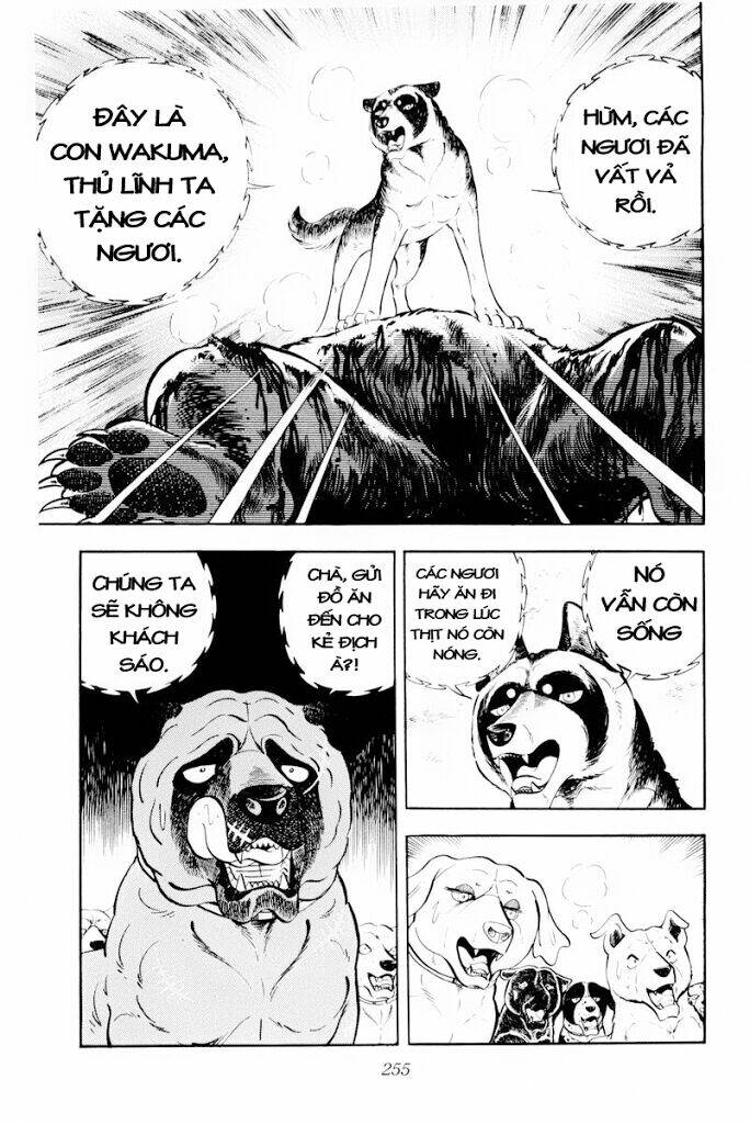 chú chó có nghĩa - ginga nagareboshi gin chapter 30.1 13