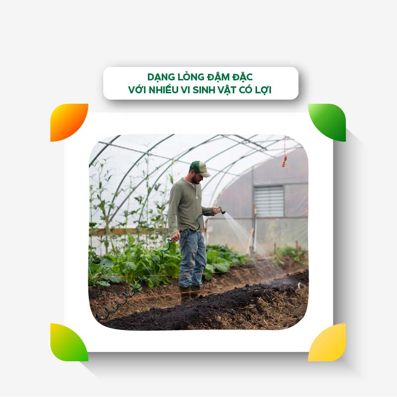 Phân Bón Sinh Học Ecom Kích Ra Hoa Đậu Trái, Tăng Trưởng Toàn Diện Cho Cây Tăng Năng Suất - Vi Sinh 1 Lít