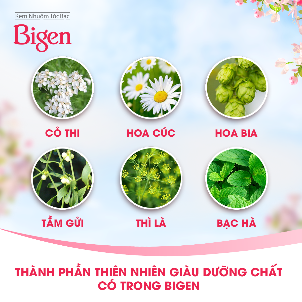 Combo 2 hộp thuốc nhuộm phủ bạc Bigen Nhật nhập khẩu Nhật Bản, phủ bạc hoàn toàn, thảo dược thiên nhiên 80mlx2 dạng kem