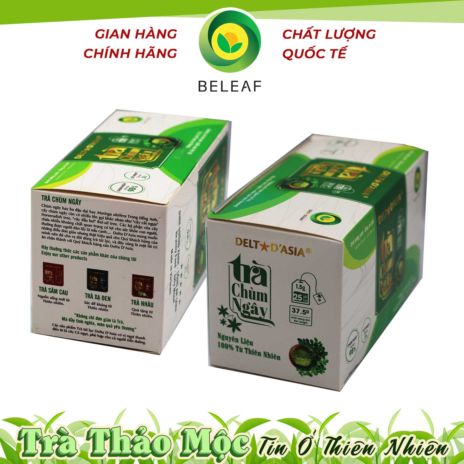 Trà Chùm Ngây Delta D'Asia Điều hòa huyết áp Hộp (25 túi x 1,5 g)