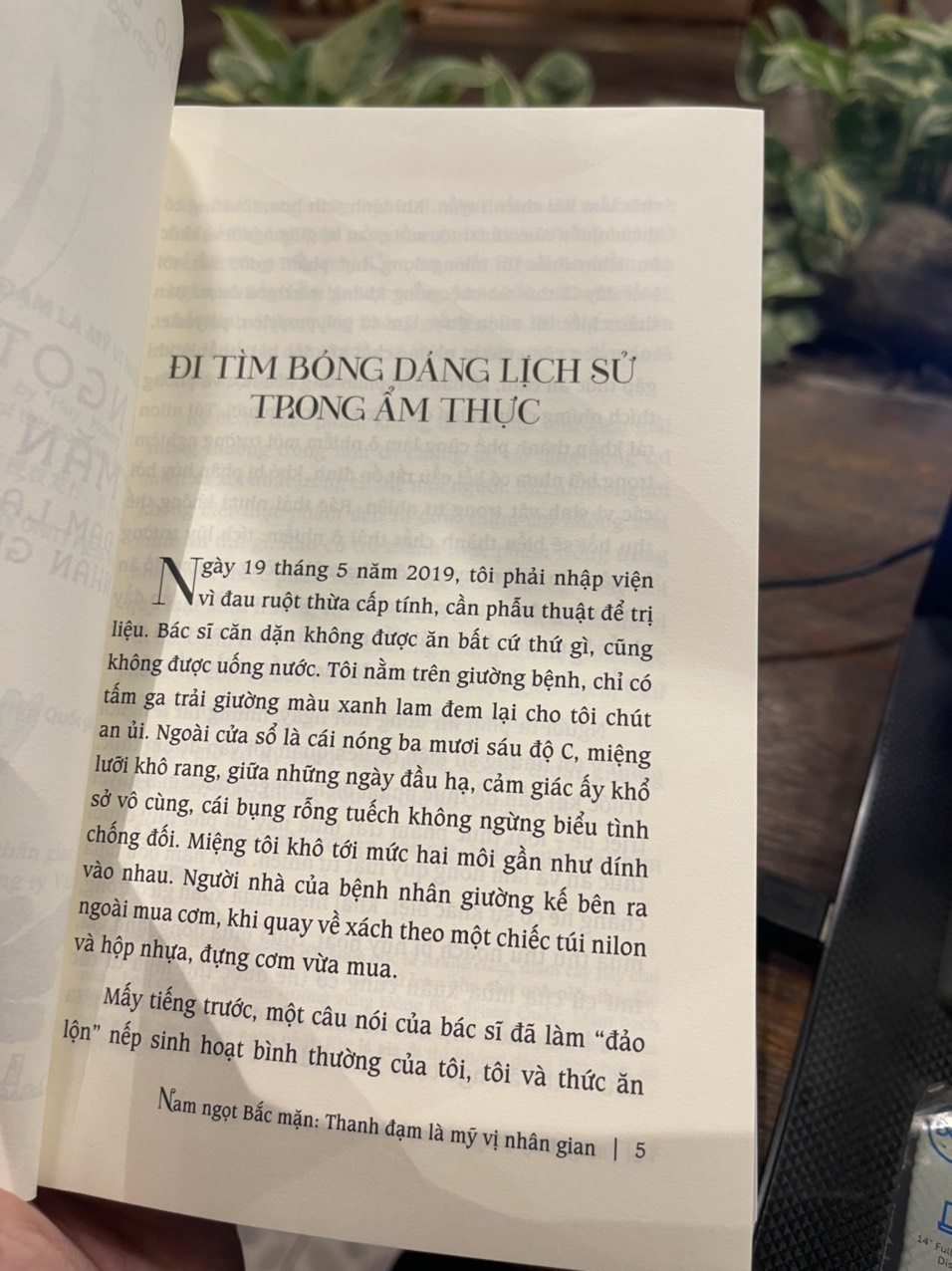 NAM NGỌT BẮC MẶN – Thanh đạm là mỹ vị nhân gian – Cao Duy Sinh – Lê Linh dịch – Huy Hoàng Books – NXB Thanh niên