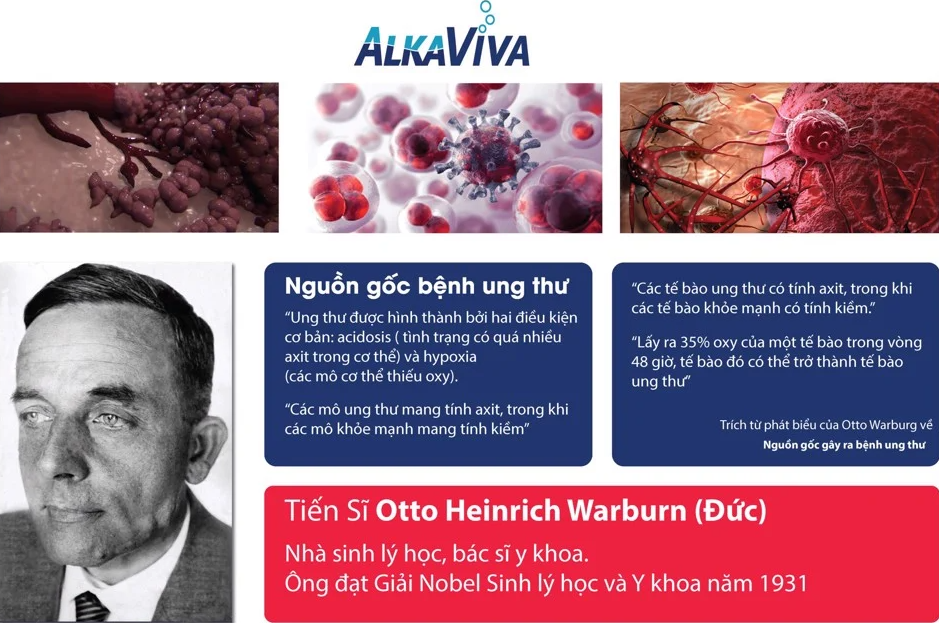 Máy Lọc Nước Điện Giải Ion Kiềm ALKAVIVA VESTA H2 Gồm 9 Thanh Điện Giải, Tạo Ra 8 Loại Nước Ion - Hàng Chính Hãng