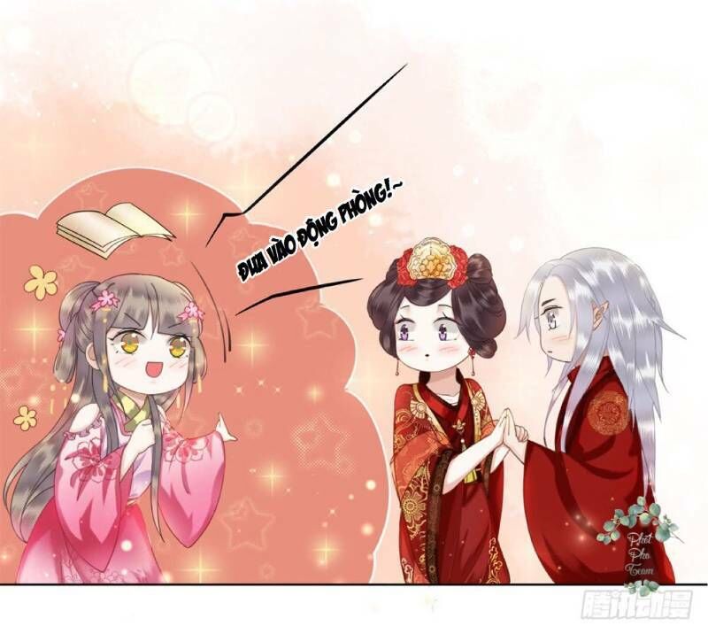 gay rồi! cái đó thành tinh rồi chapter 45 51