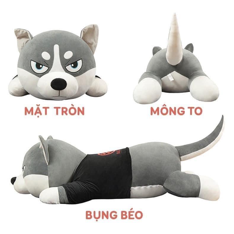 Gấu Bông Chó Husky Mặt Ngáo