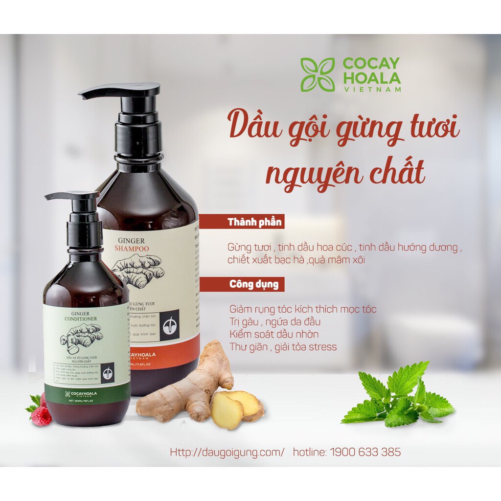 Combo Dầu gội,xả gừng - COCAYHOALA