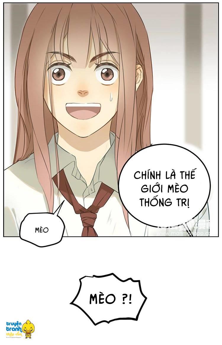 cứu mạng ! loài mèo thống trị thế giới rồi ! chapter 2 26