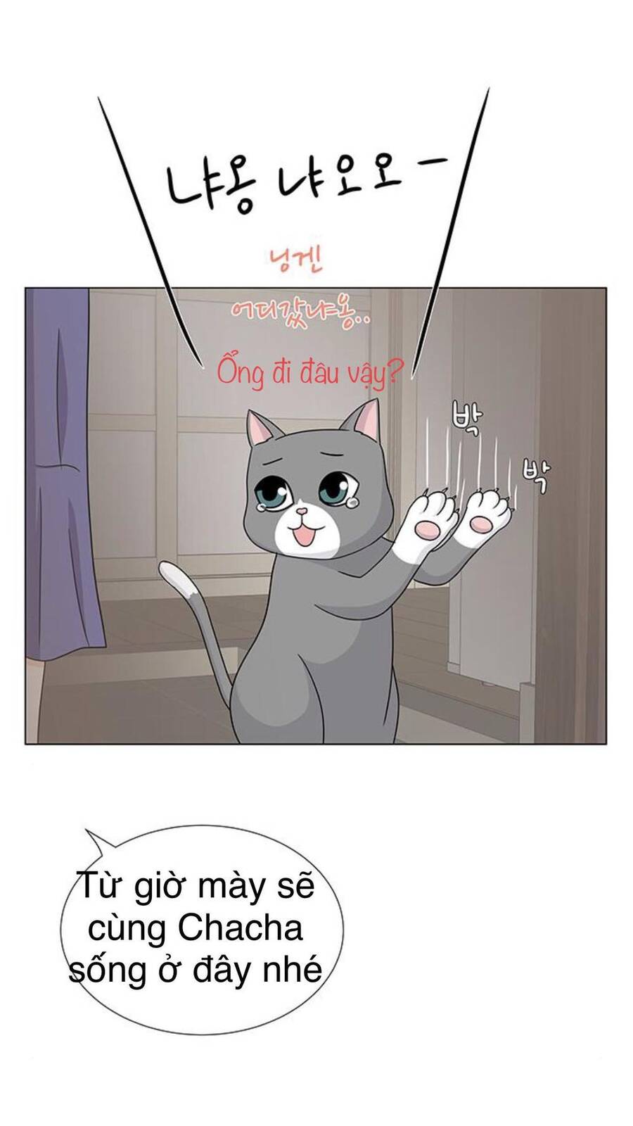 idol và sếp, em yêu ai? chapter 91 40