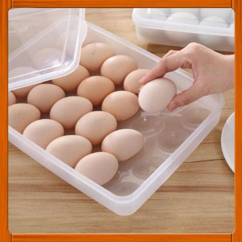 Hộp đựng trứng 24 quả nhựa 